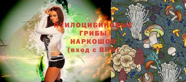 синтетический гашиш Дмитровск