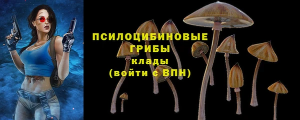 гашиш Дмитриев