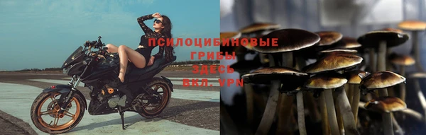 синтетический гашиш Дмитровск