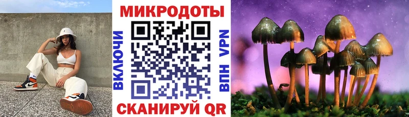 купить закладку  Кадников  Псилоцибиновые грибы Magic Shrooms 